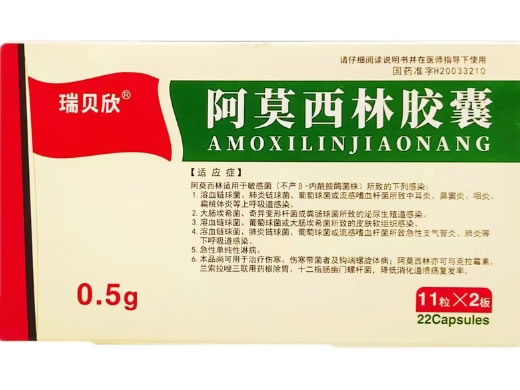 瑞贝欣阿莫西林胶囊招商代理 22粒