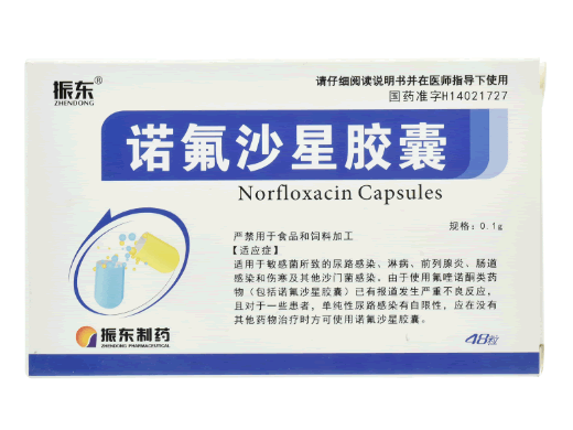 振东诺氟沙星胶囊招商代理 48粒
