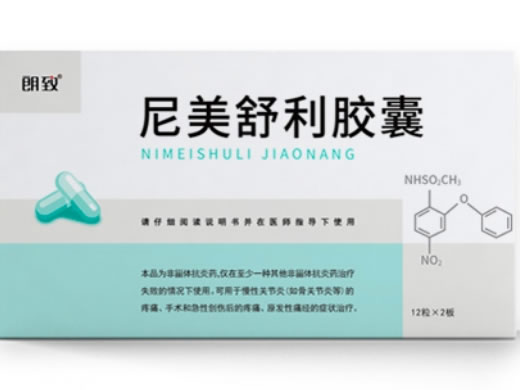 朗致/腾克尼美舒利胶囊招商代理 24粒