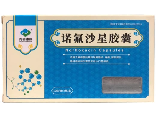 青春康源诺氟沙星胶囊招商代理 