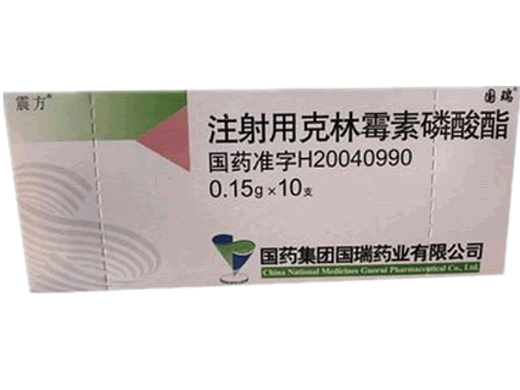 震方/国瑞注射用克林霉素磷酸酯招商代理 10支