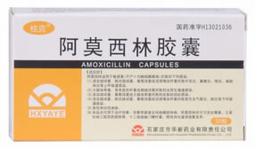 桂克阿莫西林胶囊招商代理 0.25g*50粒 石家庄市华新药业