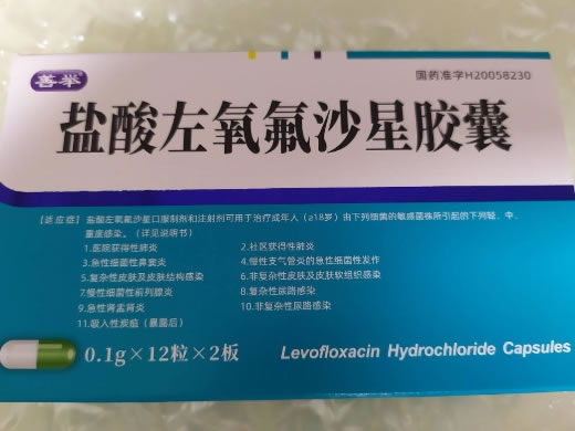 善举盐酸左氧氟沙星胶囊招商代理 24粒