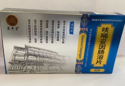 辰丰堂呋喃妥因肠溶片招商代理 90片