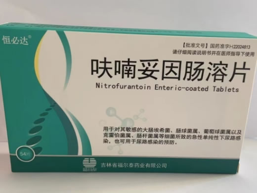 恒必达呋喃妥因肠溶片招商代理 54片