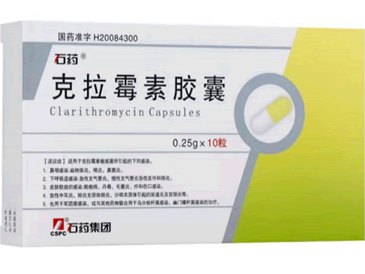 克拉霉素胶囊招商代理 10.25g*10粒 石药集团