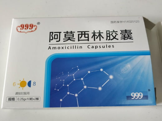 阿莫西林胶囊招商代理 20粒 津华晖星制药