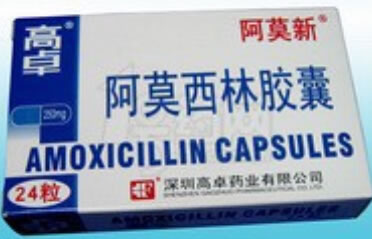 阿莫新阿莫西林胶囊招商代理 0.25g*24粒 深圳高卓药业