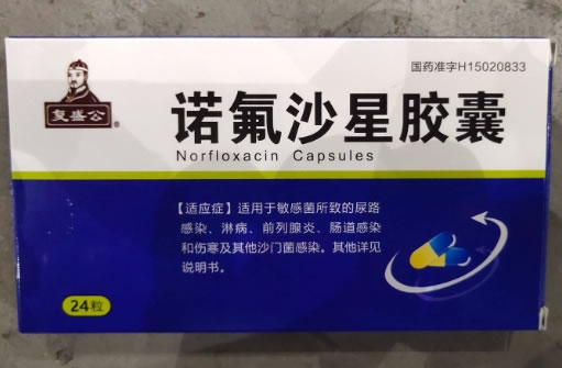 复盛公诺氟沙星胶囊招商代理 24粒 通辽制药
