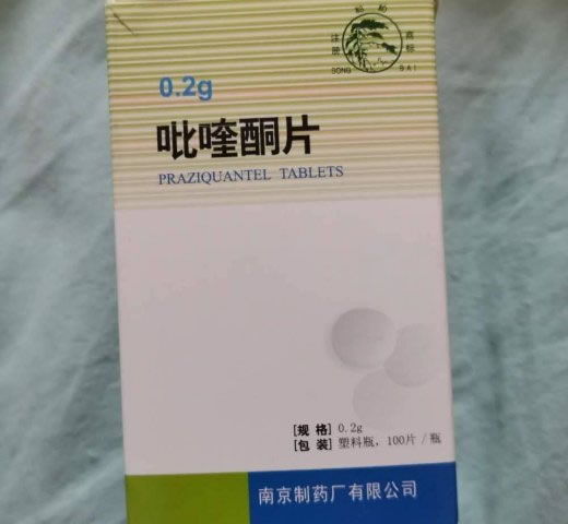 吡喹酮片招商代理 100片 南京制药厂