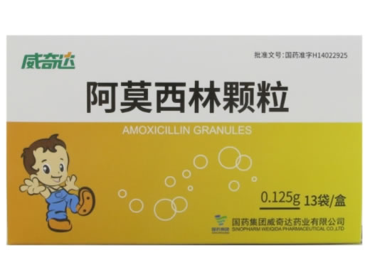 威奇达阿莫西林颗粒招商代理 13袋