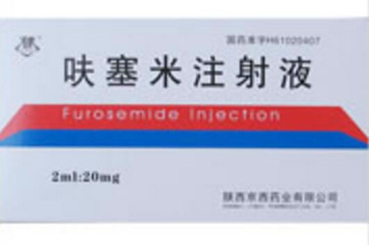 呋塞米注射液招商代理 陕西京西