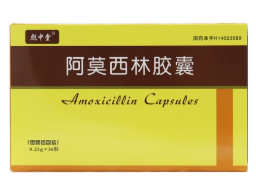 彪中堂阿莫西林胶囊招商代理 36粒