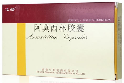 亿劲阿莫西林胶囊招商代理 30粒