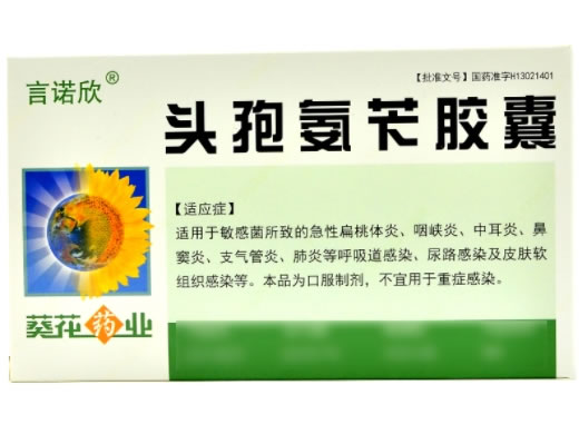 言诺欣/葵花药业头孢氨苄胶囊招商代理 葵花药业
