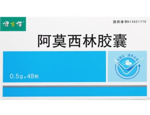 健之佳阿莫西林胶囊招商代理 48粒 石药
