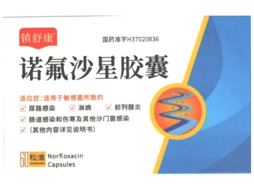 诺氟沙星胶囊