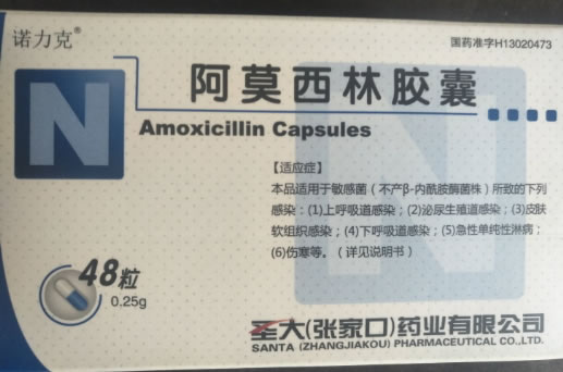 诺力克阿莫西林胶囊招商代理 48粒