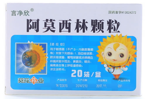 言净欣/葵花药业阿莫西林颗粒招商代理 20袋
