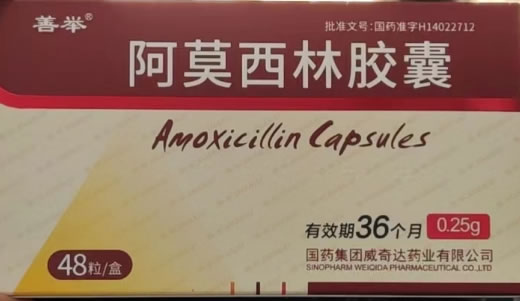 善举阿莫西林胶囊招商代理 48粒