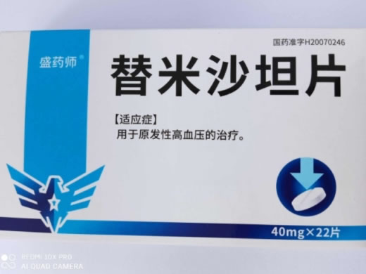 盛药师替米沙坦片招商代理 22片