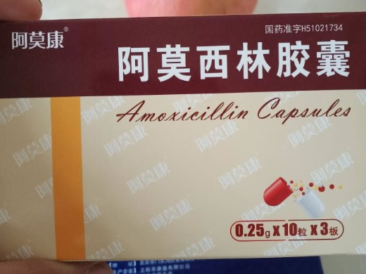 阿莫康阿莫西林胶囊招商代理 0.25g*30粒