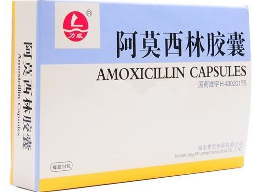 力威阿莫西林胶囊招商代理 24粒