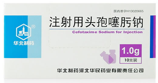 注射用头孢噻肟钠招商代理 1g*10支 华北制药