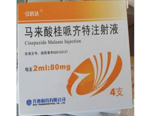 马来酸桂哌齐特注射液