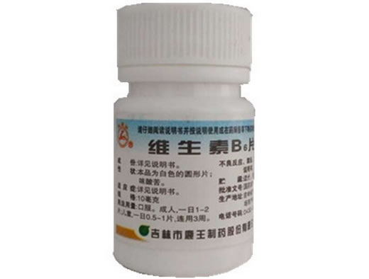 维生素B6片招商代理 100片 鹿王制药