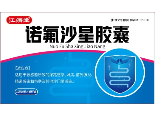 江济堂诺氟沙星胶囊招商代理 30粒 河南鼎昌