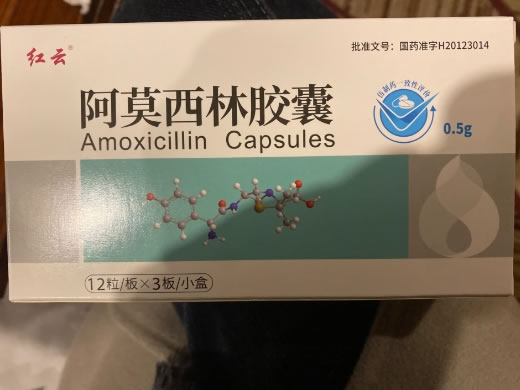 红云阿莫西林胶囊招商代理 36粒