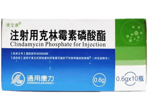 德宝生/德宝康注射用克林霉素磷酸酯招商代理 10瓶