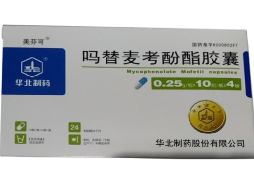 吗替麦考酚酯胶囊