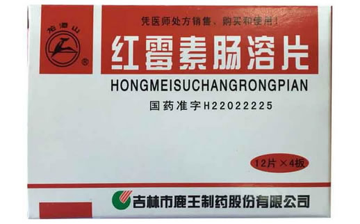 红霉素肠溶片招商代理 48片 吉林市鹿王制药