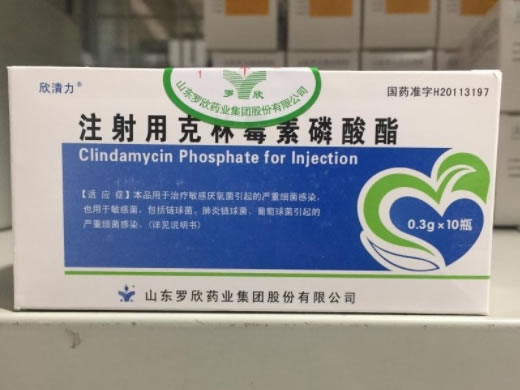 欣清力注射用克林霉素磷酸酯招商代理 10支