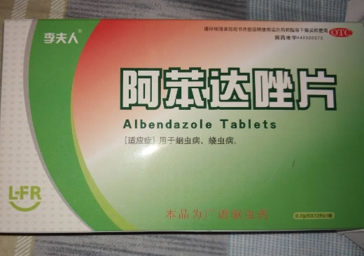 李夫人阿苯达唑片招商代理 李夫人 0.2g*12片