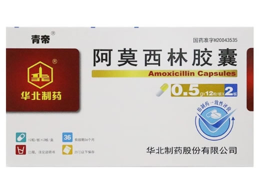 青帝阿莫西林胶囊招商代理 0.5g*24粒 华北制药
