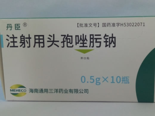 丹臣注射用头孢唑肟钠招商代理 10瓶