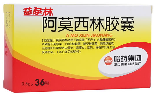益萨林阿莫西林胶囊招商代理 36粒 哈药集团
