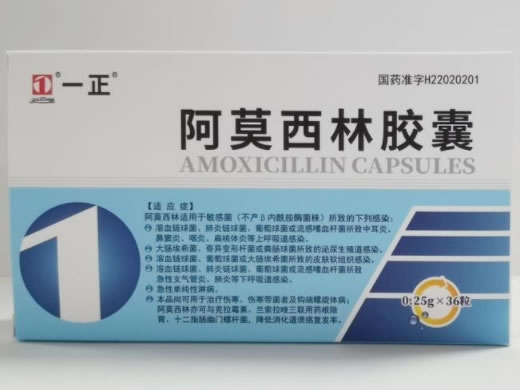 一正阿莫西林胶囊招商代理 36粒 金诺