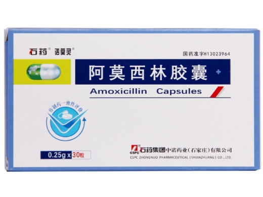 石药/诺莫灵阿莫西林胶囊招商代理 30粒 诺莫灵