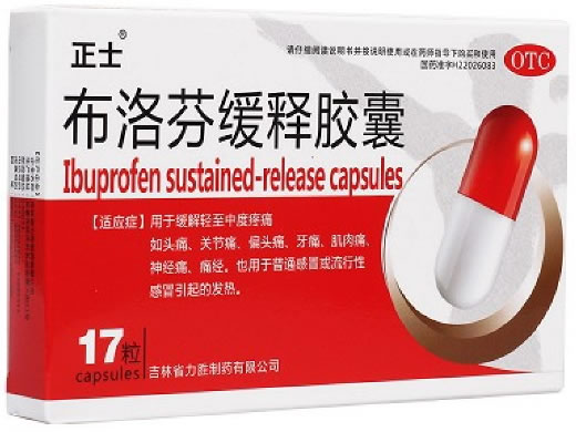 正士布洛芬缓释胶囊招商代理 17粒