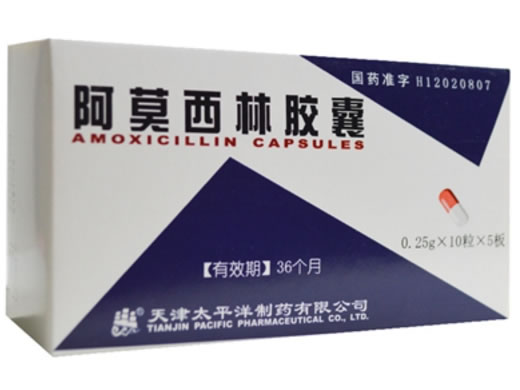 阿莫西林胶囊招商代理 50粒 天津太平洋