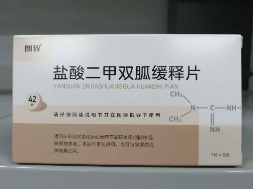 朗致盐酸二甲双胍缓释片招商代理 42片