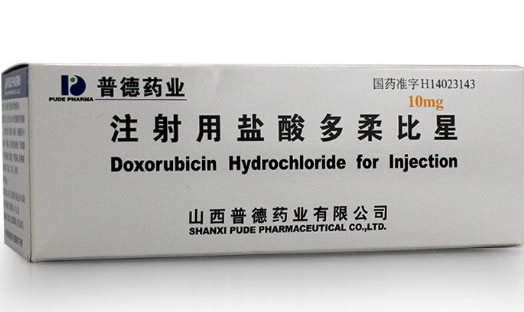 普德药业注射用盐酸多柔比星招商代理 10支 普德药业