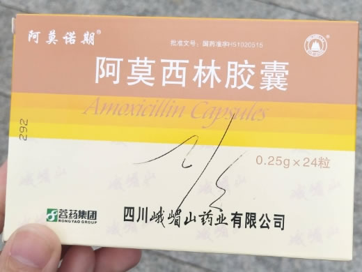 阿莫诺期阿莫西林胶囊招商代理 24粒