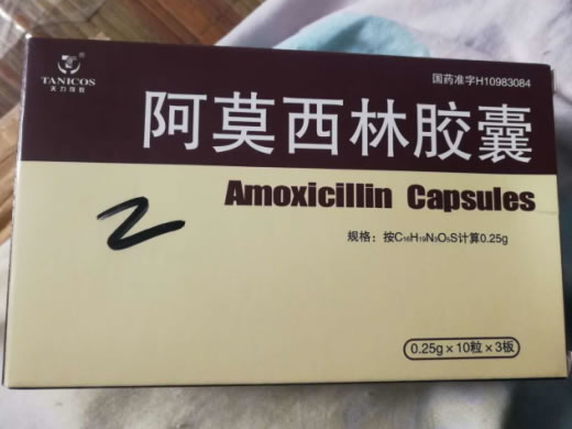 天力可致阿莫西林胶囊招商代理 30粒