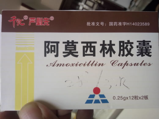 千汇/严必先阿莫西林胶囊招商代理 24粒