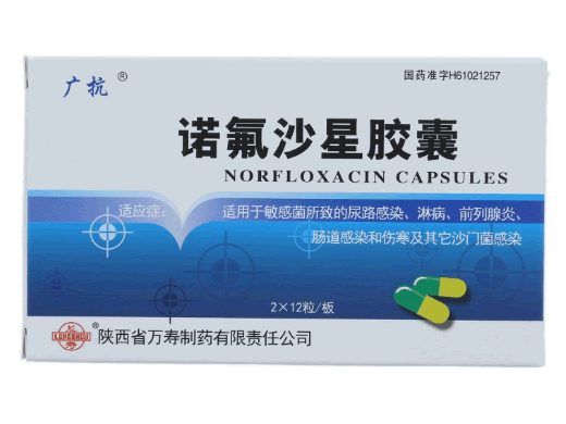 广抗诺氟沙星胶囊招商代理 